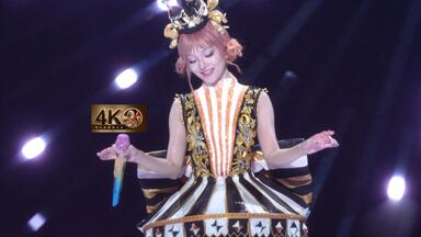 酒井法子出道三十周年纪念演唱会Noriko Sakai 30th Anniversary