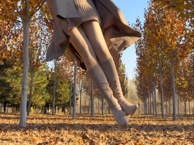 新的故事在秋风中慢慢开始