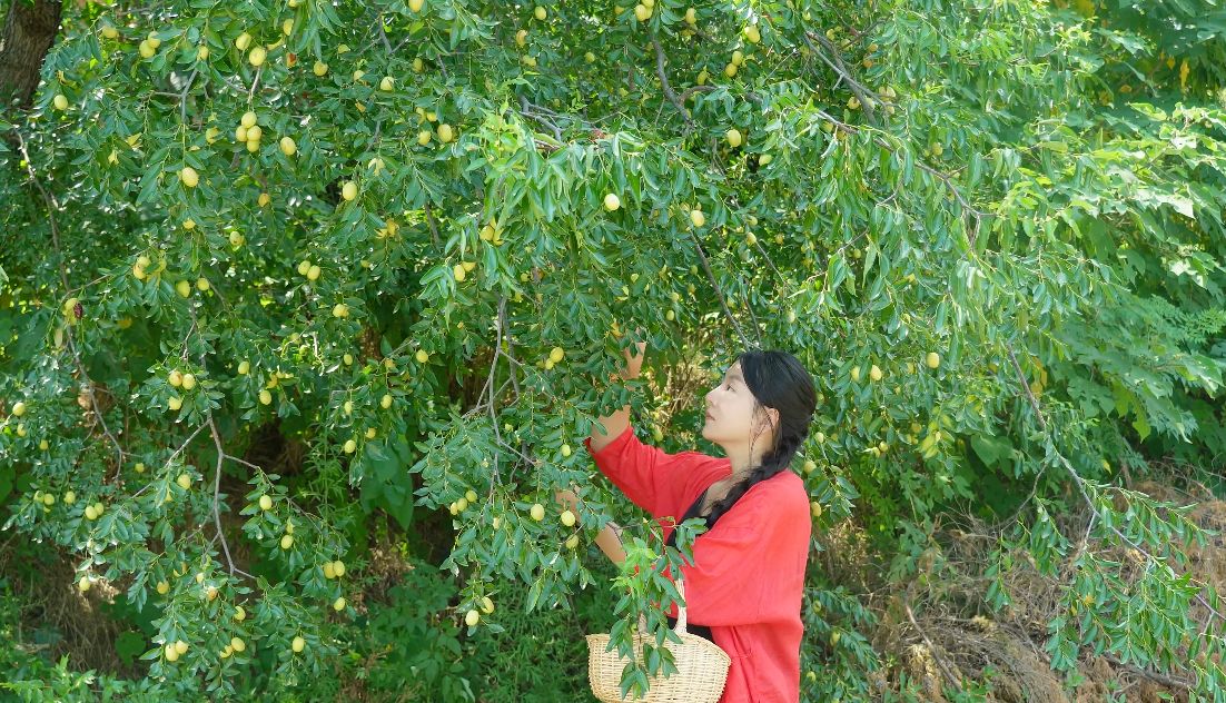 夏日热浪如火,来几道解暑美食,专治没有食欲哔哩哔哩bilibili