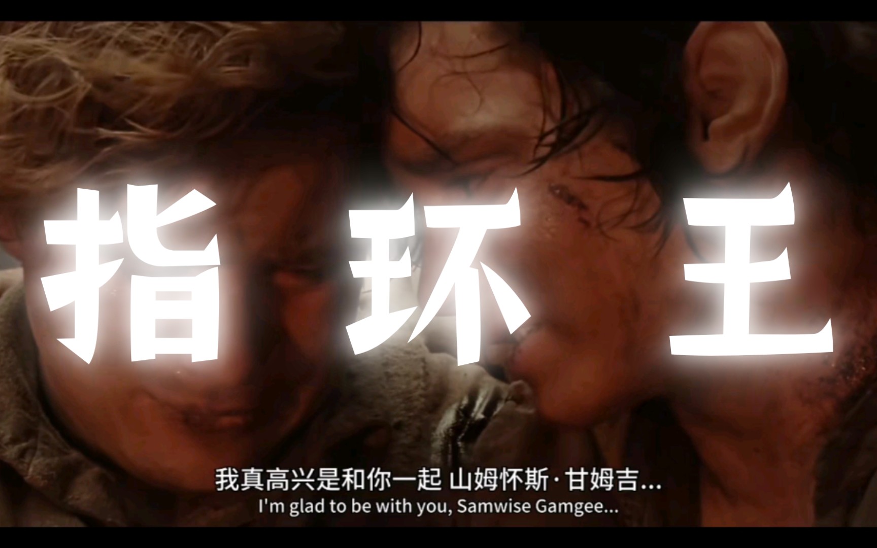 [图]“I'm glad to be with you，Samwise Gamgee”指环王3:王者归来高燃向混剪｜BGM：speechless