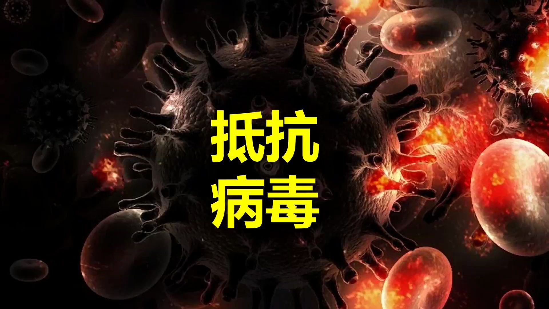 病毒感染没有特效药,那我们是如何应对病毒感染的?什么是抗病毒药物?