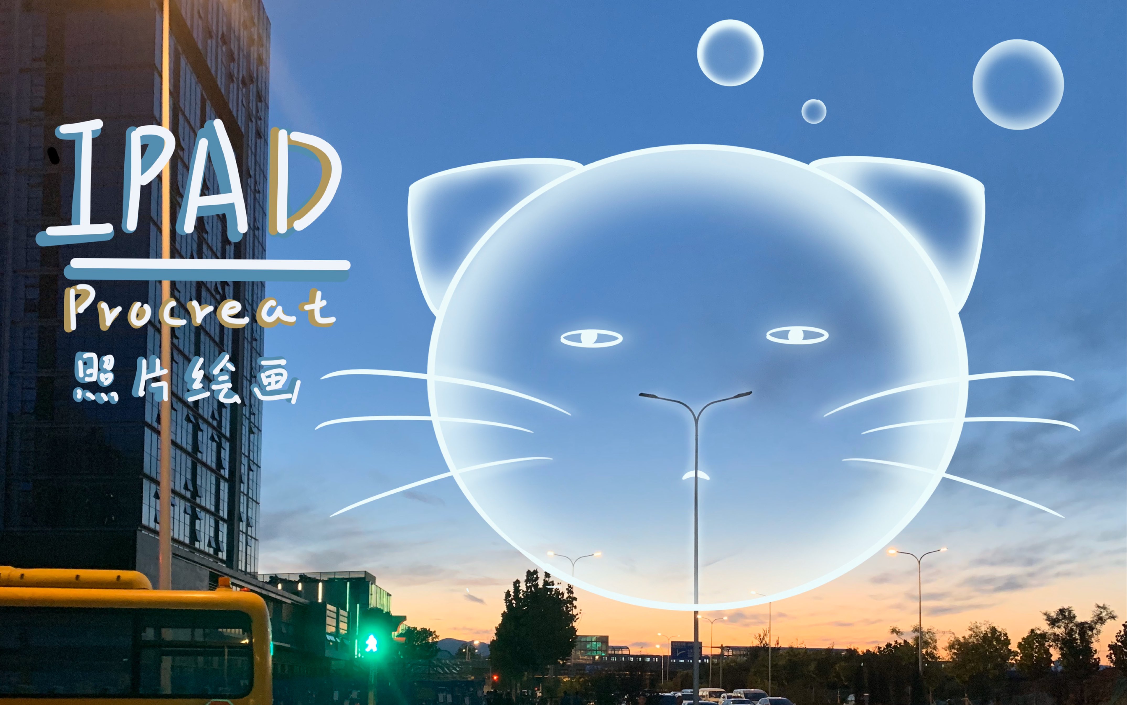 ipad照片猫猫绘画