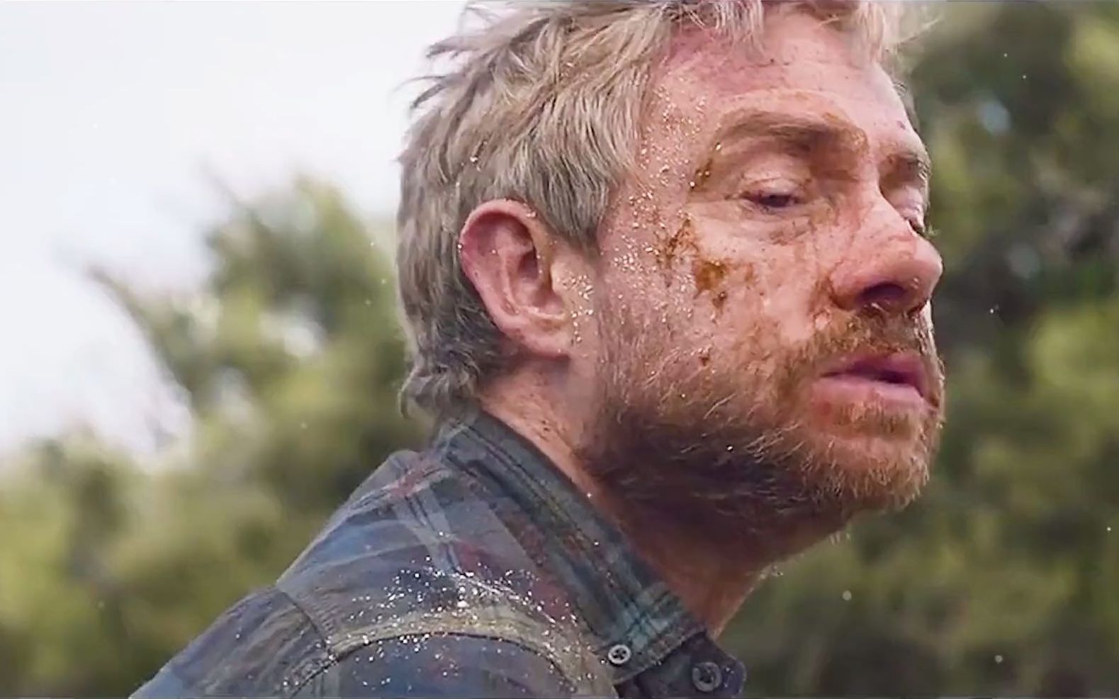 腐肉为引,香水为信,父爱如山