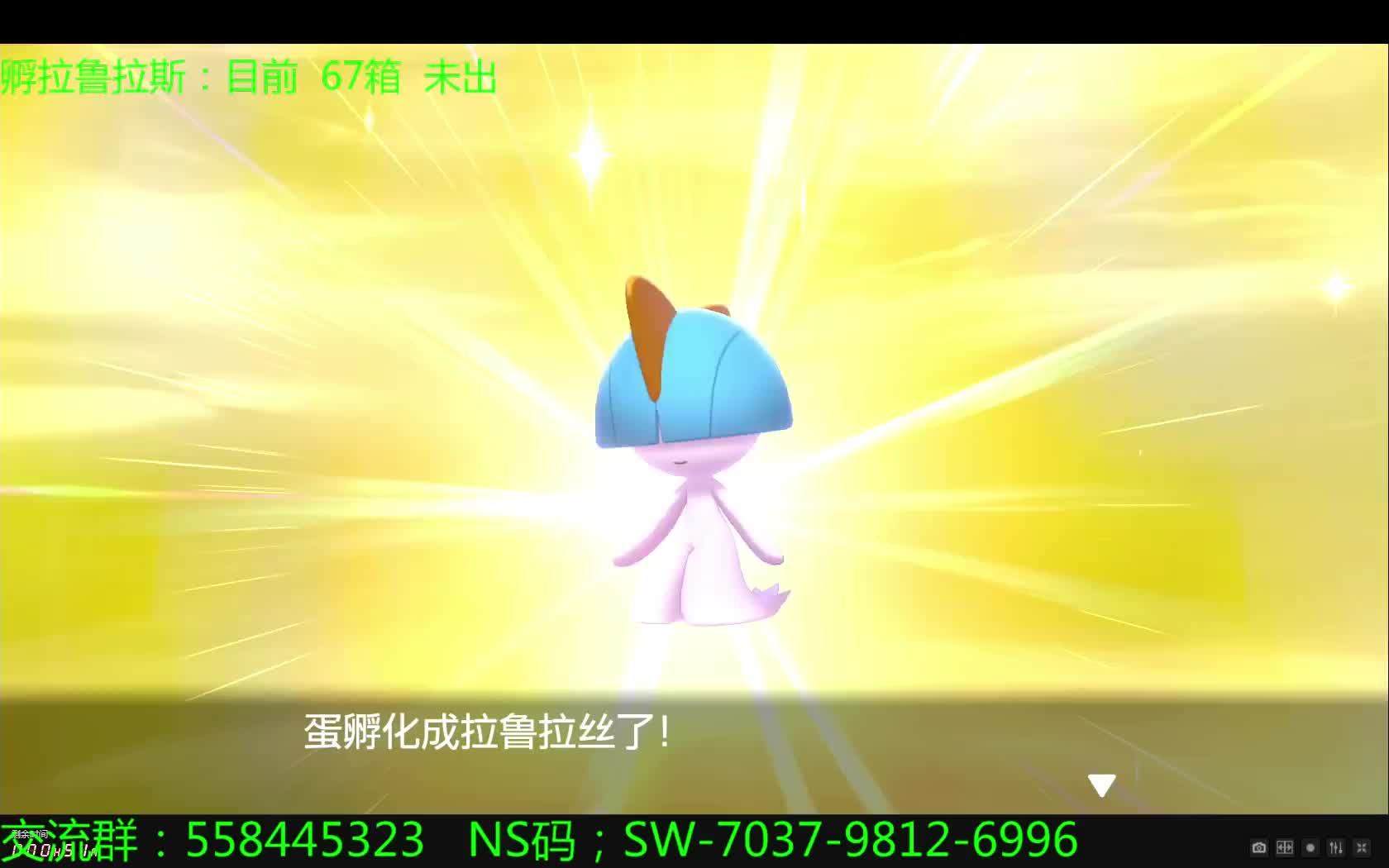 宝可梦剑盾孵蛋狂魔的由来鏖战4天孵了70箱终于在快崩溃放弃之前闪