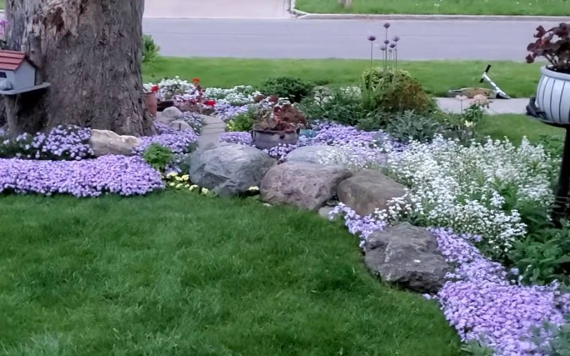 [图]邻居奶奶凭一己之力，把院子种满鲜花，处处透着精致与梦幻！