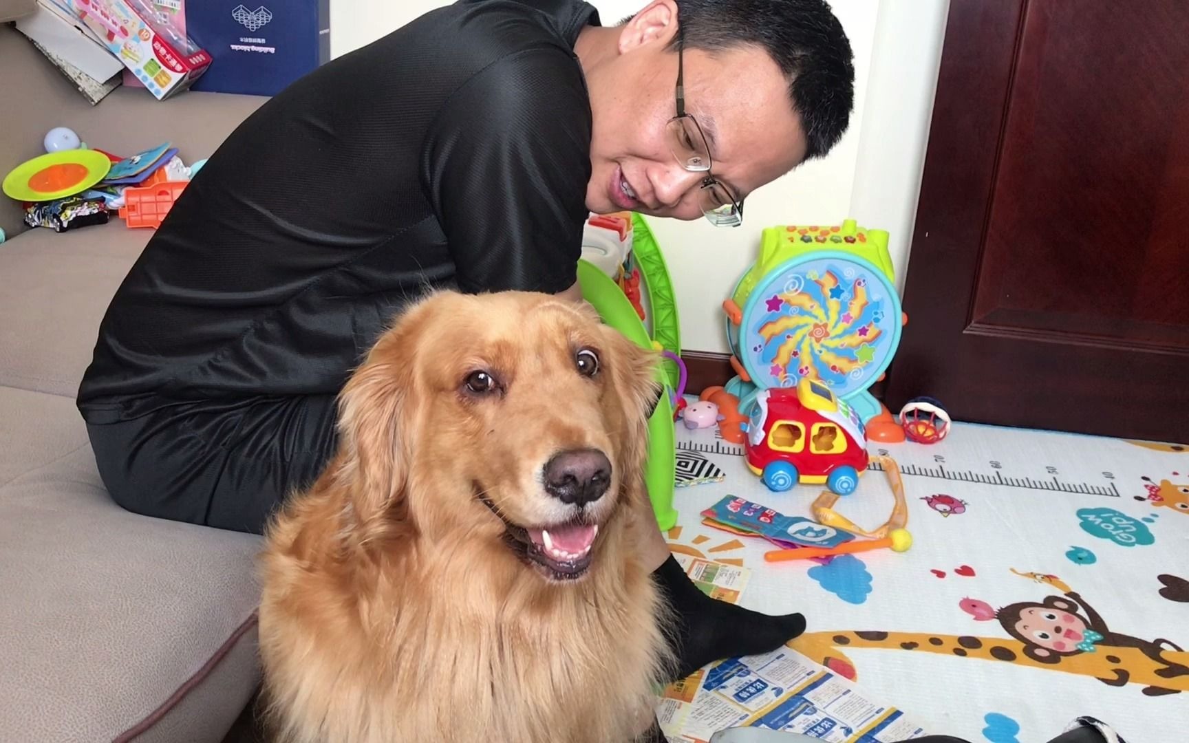 金毛凭借自己的撒娇卖萌,和小宝宝一起抢爸爸,金毛:完胜!