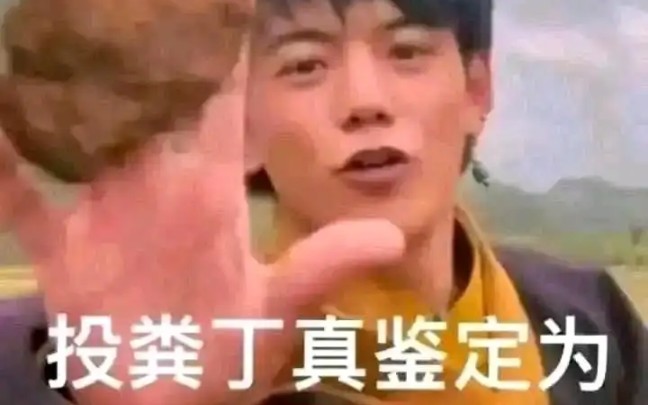 丁真梗图哔哩哔哩bilibili