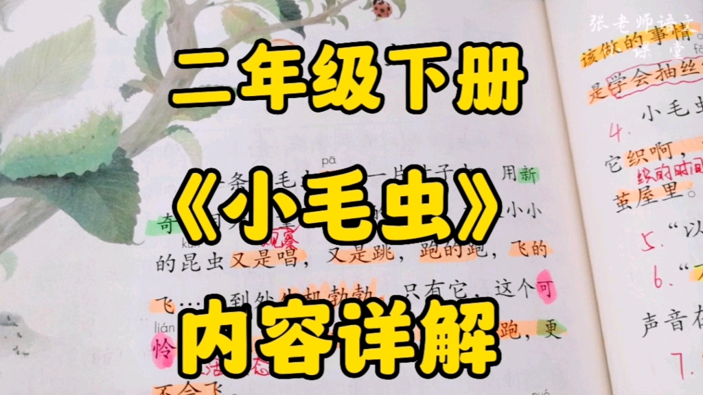 二年级语文下册《小毛虫》内容详解,探寻小毛虫一生的变化以及心路历程!哔哩哔哩bilibili