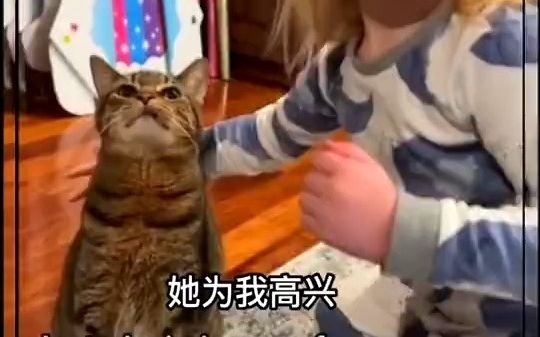 [图]看的出来它很开心猫:我赌咒,她再抱我一下我就弄她[拜