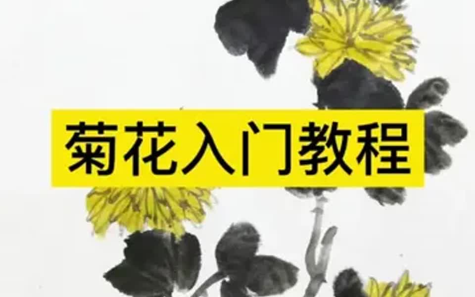 菊花应该怎么画?看完不会算我输系列哔哩哔哩bilibili