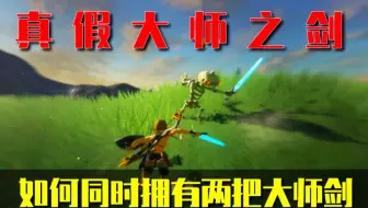 ［塞尔达传说］如何同时拥有两把大师剑！？