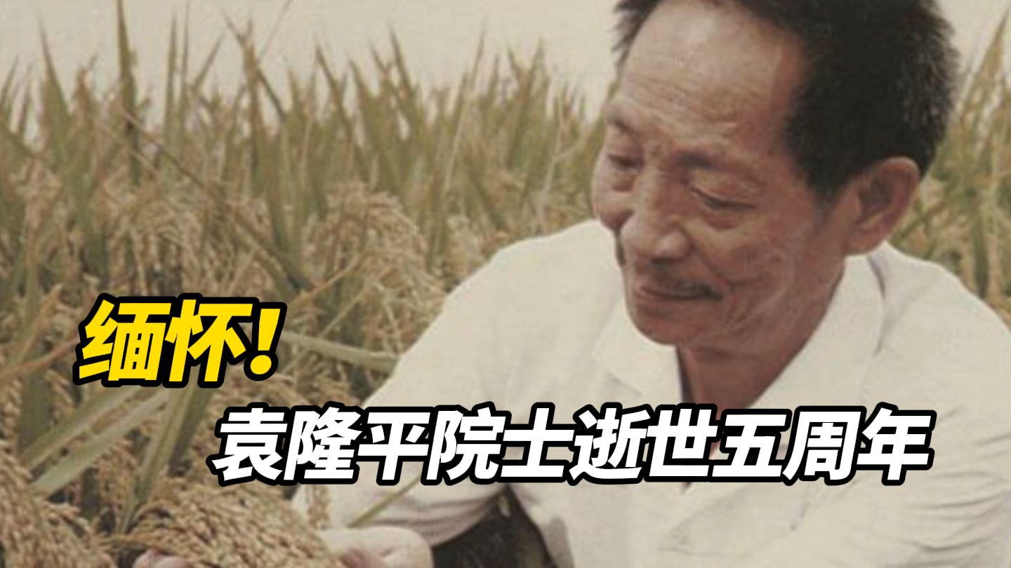 请停留三秒，为袁隆平院士献上一朵鲜花！5月22日是袁隆平院士逝世五周年，他最大的愿望是：饭碗要牢牢地掌握在中国人自己手上！