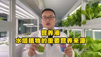 Descargar video: 营养液，水培植物的重要营养来源