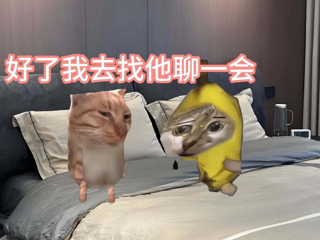 零分的故事第九十八集-江橘猫meme-江橘猫meme-哔哩哔哩视频