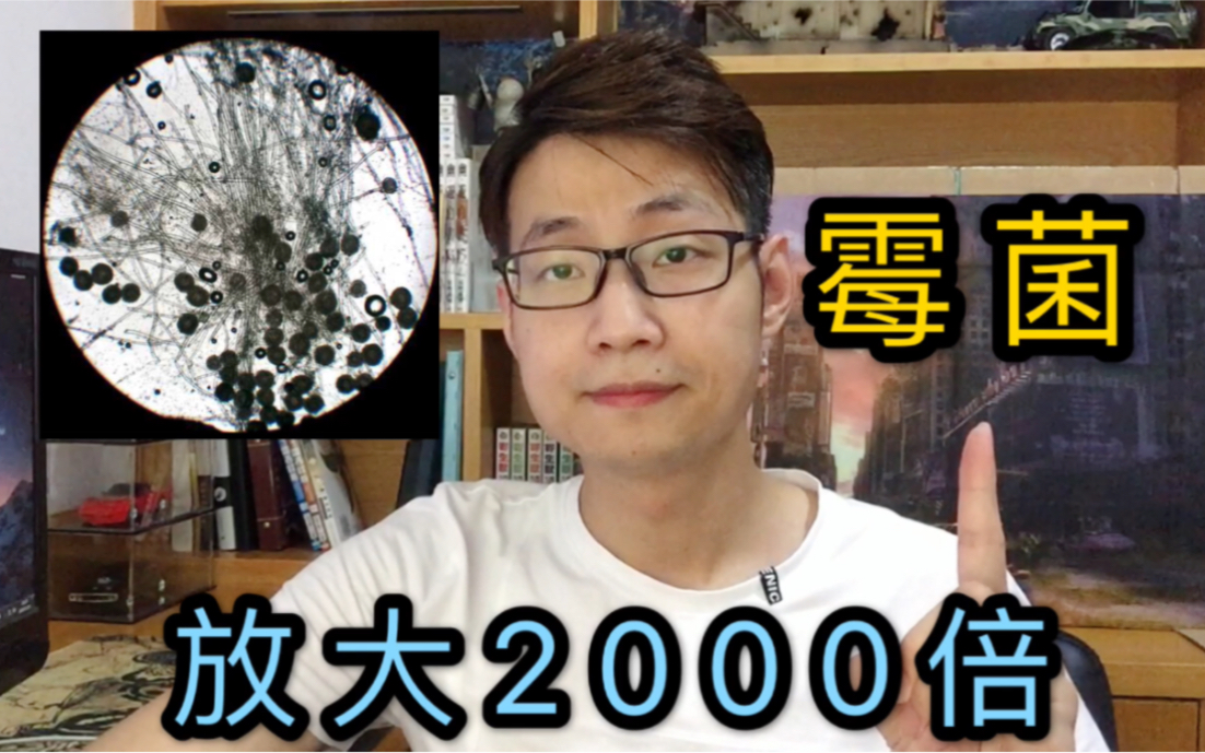 显微镜放大霉菌2000倍是啥样的?小伙告诉你东西为啥会发霉!哔哩哔哩bilibili