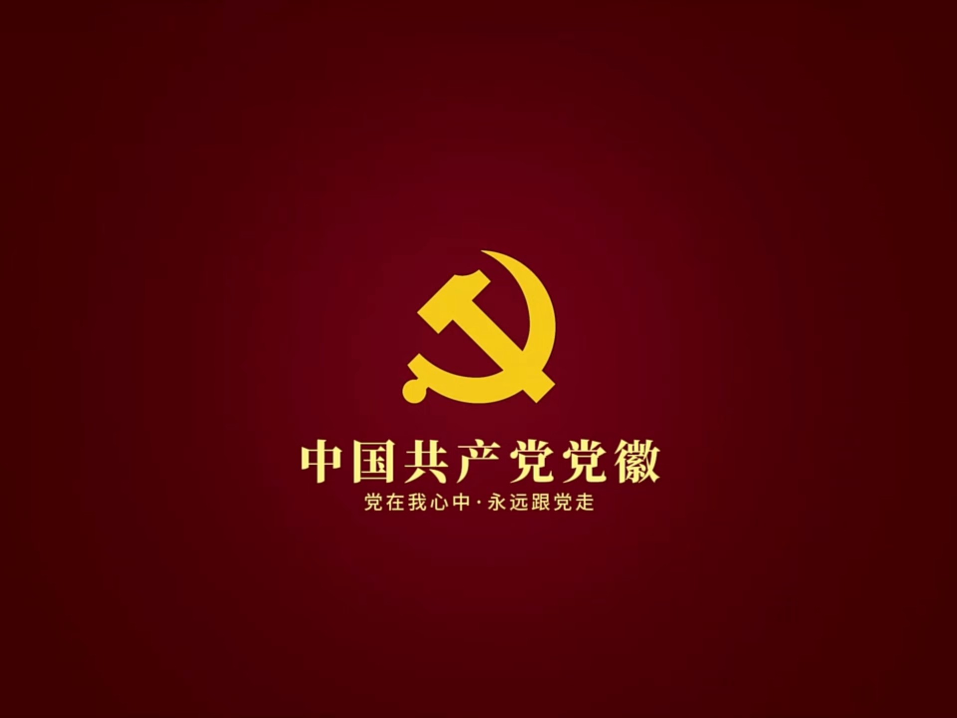 党徽在我心 永远跟党走
