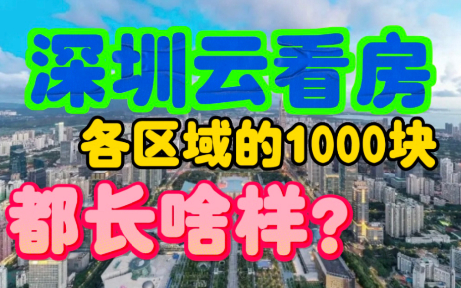 [毕业生省钱攻略,深圳1000块能租什么样的房子,我们视频里见!]哔哩哔哩bilibili