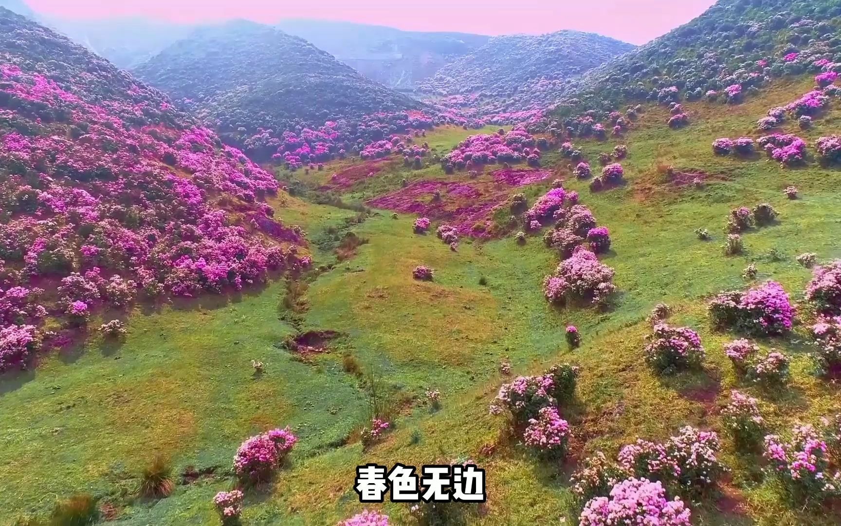 活动作品诗歌朗诵相约第一百个春天建党100周年系列演讲朗诵作品欣赏