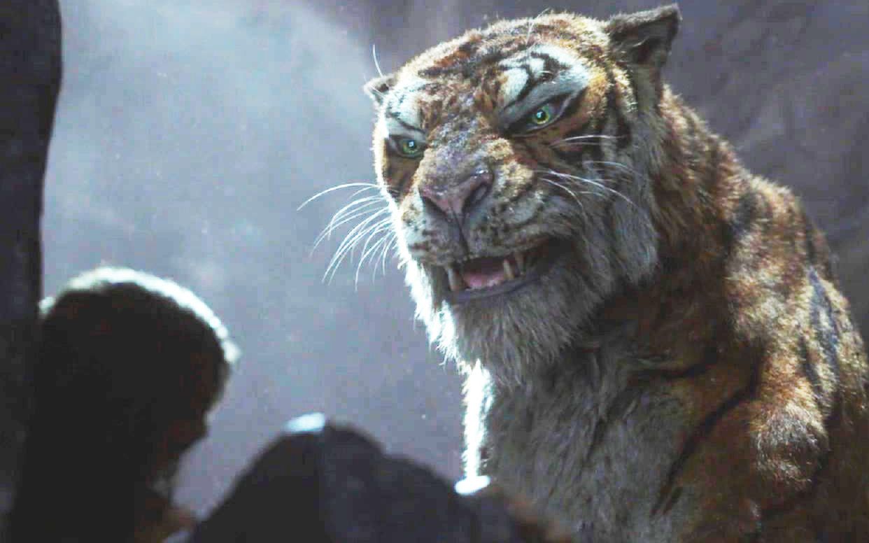 【中字】《森林之子毛克利》首支预告片 华纳版"奇幻森林"震撼来袭!