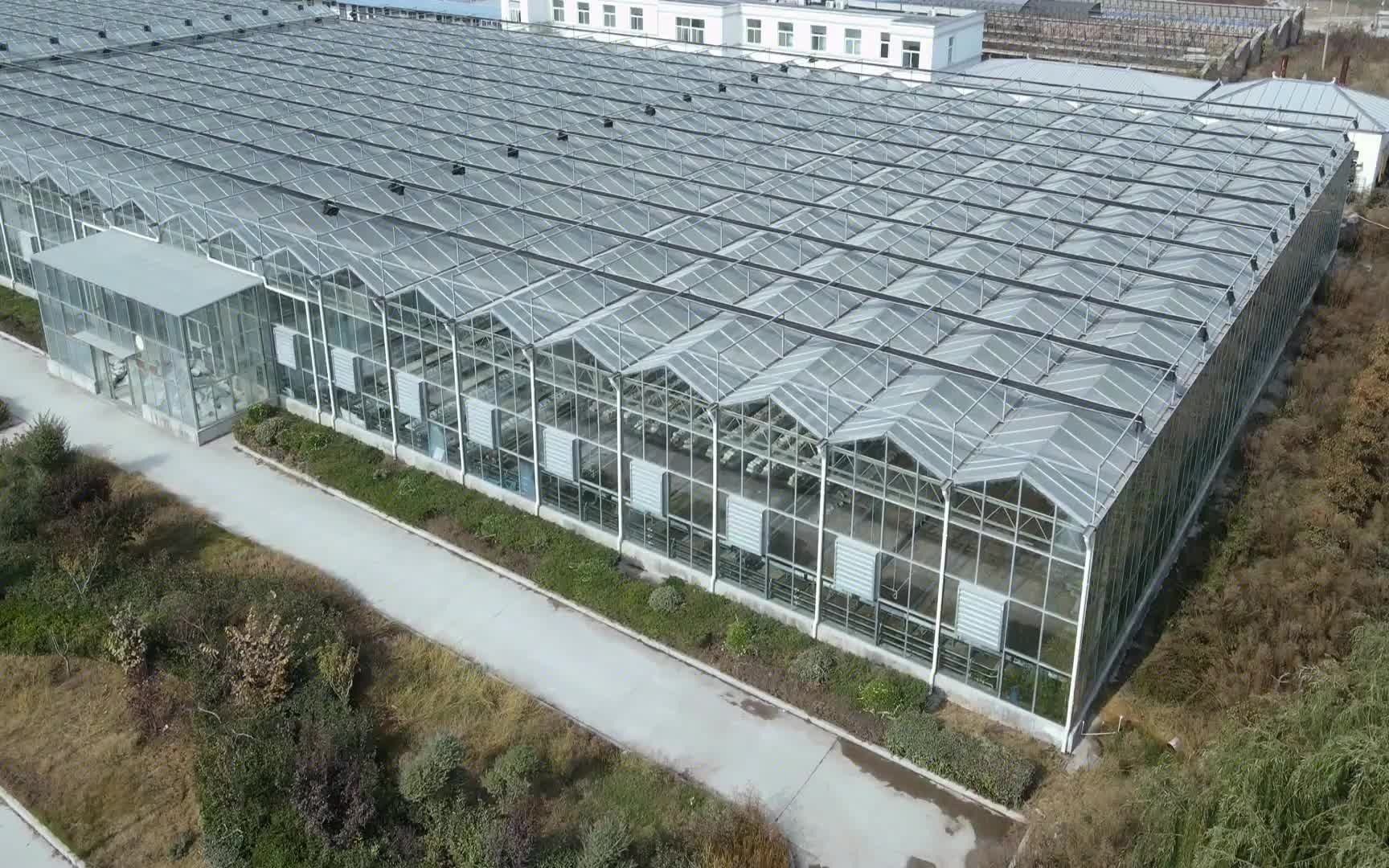 玻璃温室智能大棚连体大棚连栋大棚智能温室