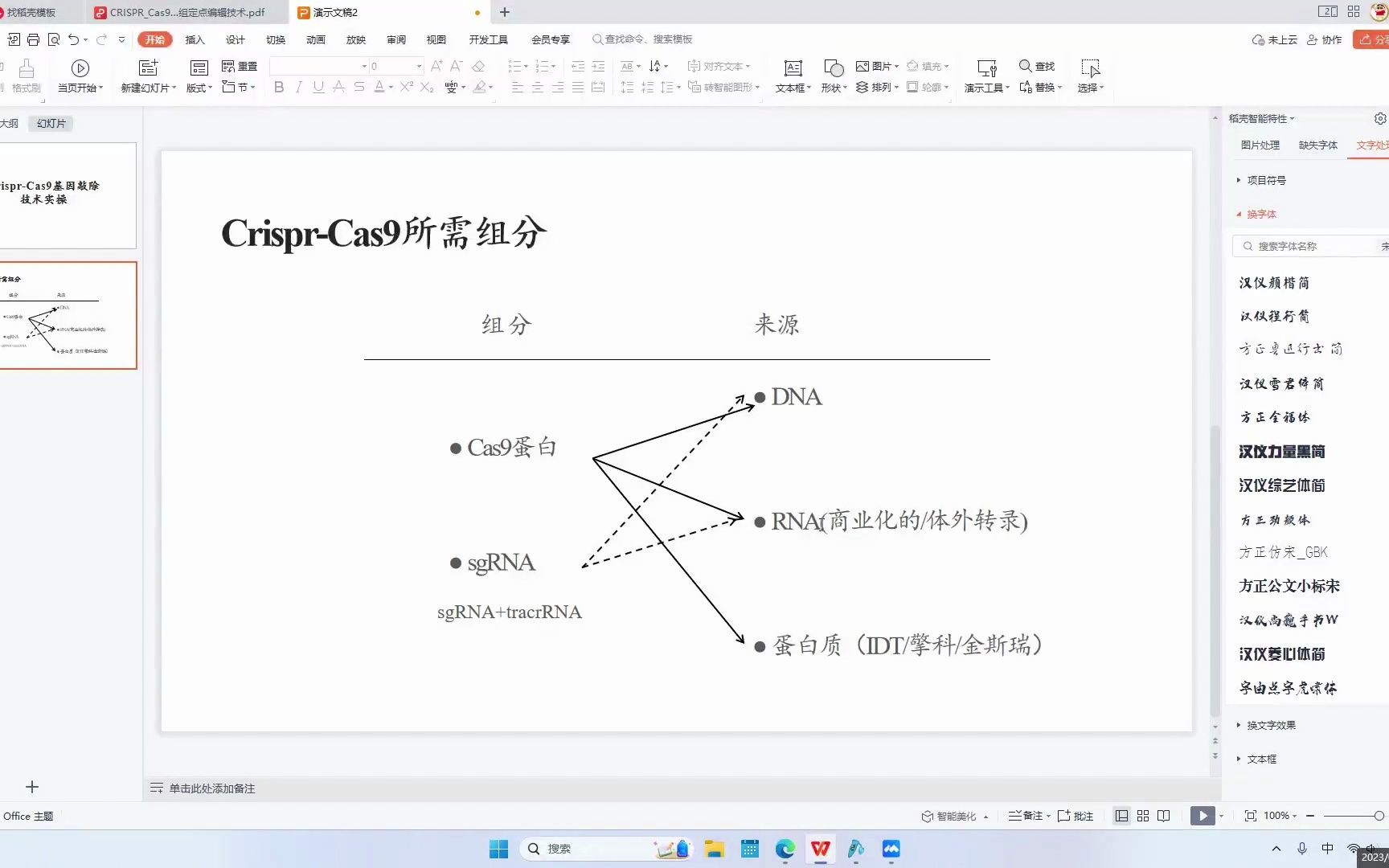 CrisprCas9基因敲除(KO)原理及实操(进阶版)哔哩哔哩bilibili