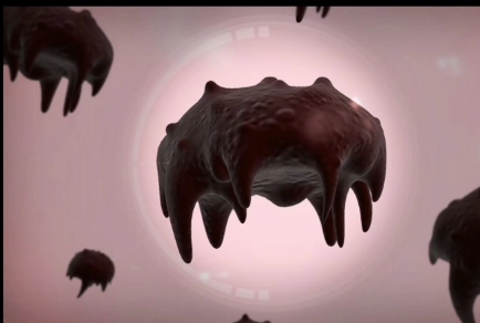 (pl)pc端necora病毒原声带