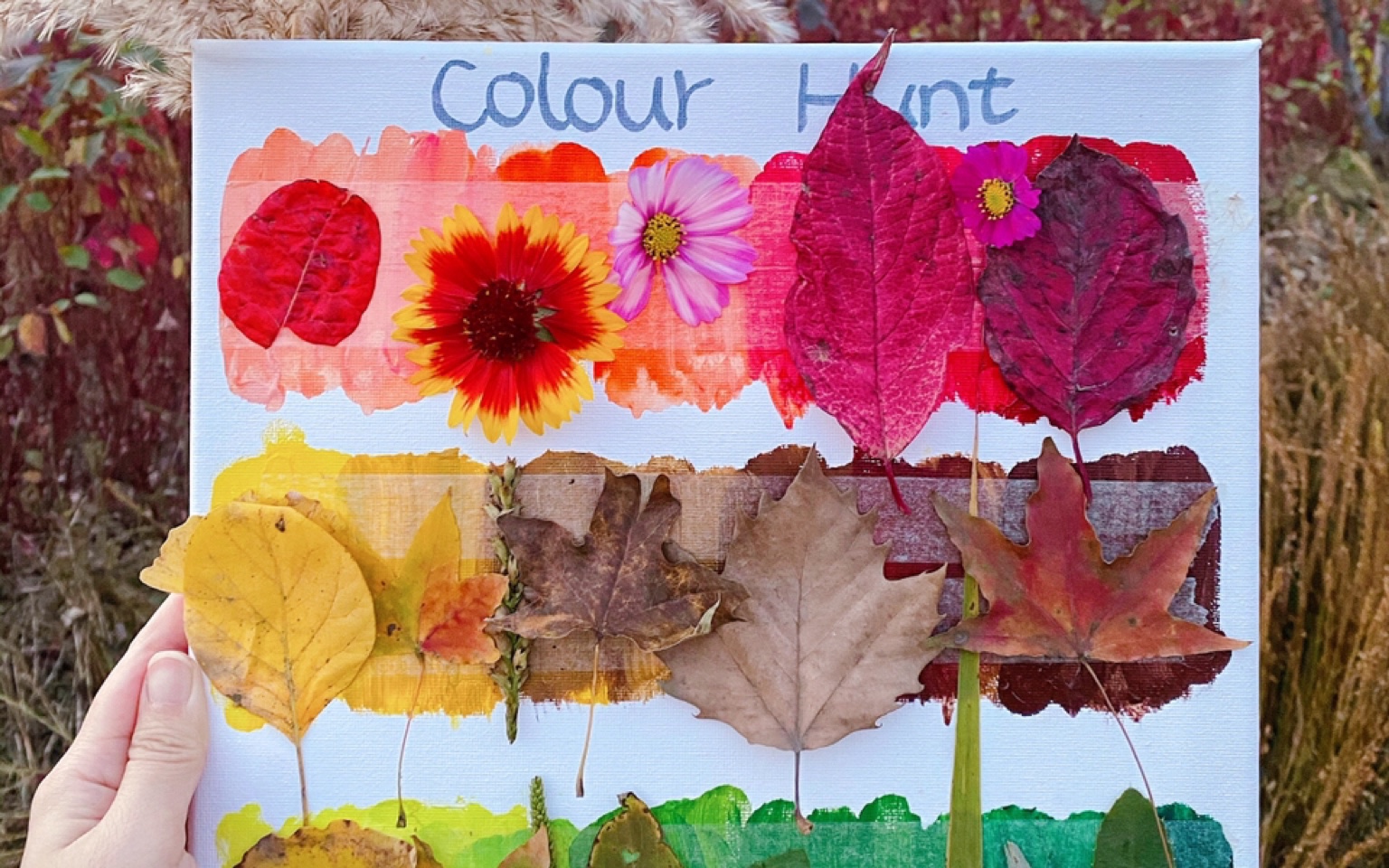 [图]Color Hunt 艺术启蒙-寻找颜色?多彩的秋天，它有大自然中最丰富的色彩～?带着孩子一起寻找大自然中的色彩，一起带娃玩起来吧～喜欢给个小❤️❤️哦～