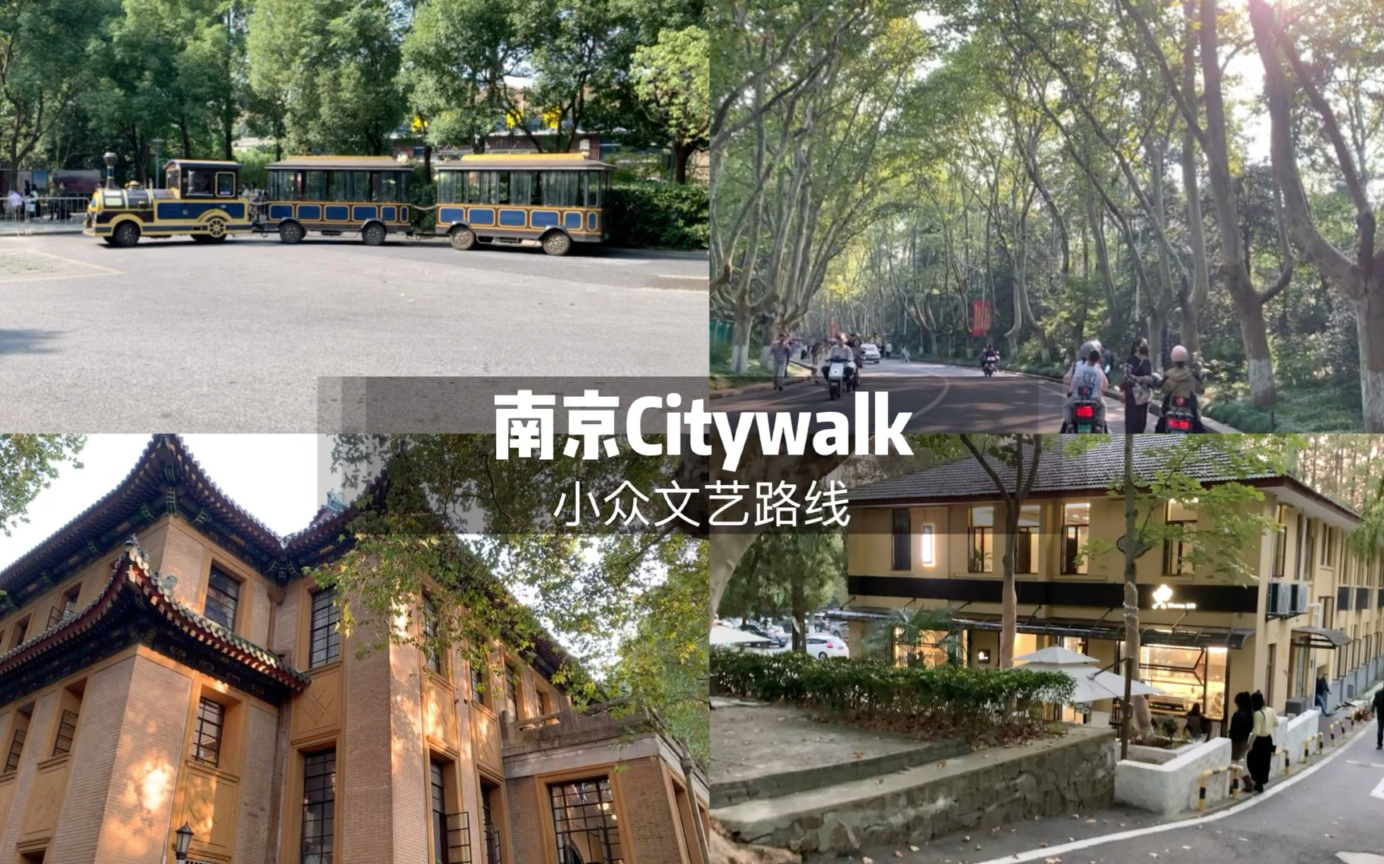 在南京的秋日跟朋友来一场citywalk吧!你们一定没走过的梧桐大道、中山陵、美龄宫、博爱园、T80这条小众文艺路线!哔哩哔哩bilibili