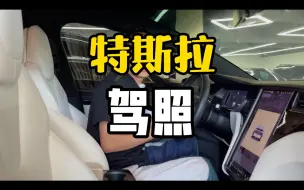 Download Video: 开特斯拉要重考驾照？