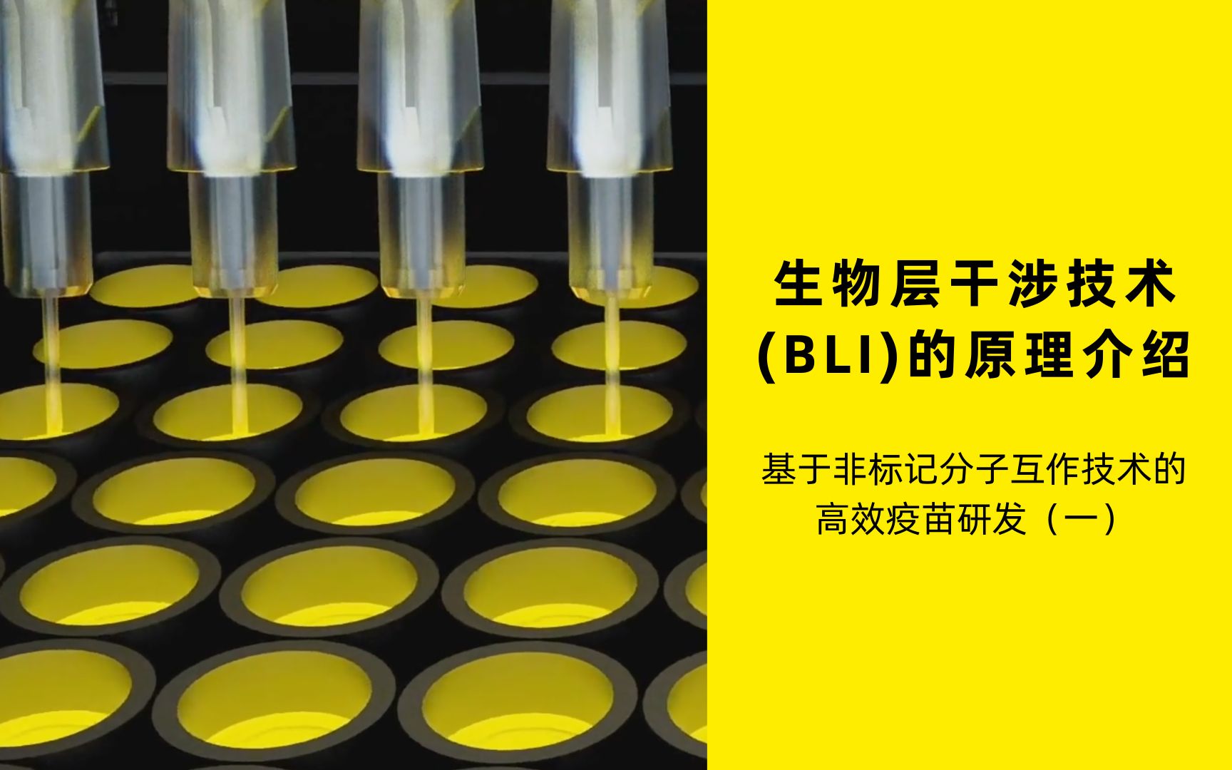 生物层干涉技术(BLI)的原理介绍哔哩哔哩bilibili