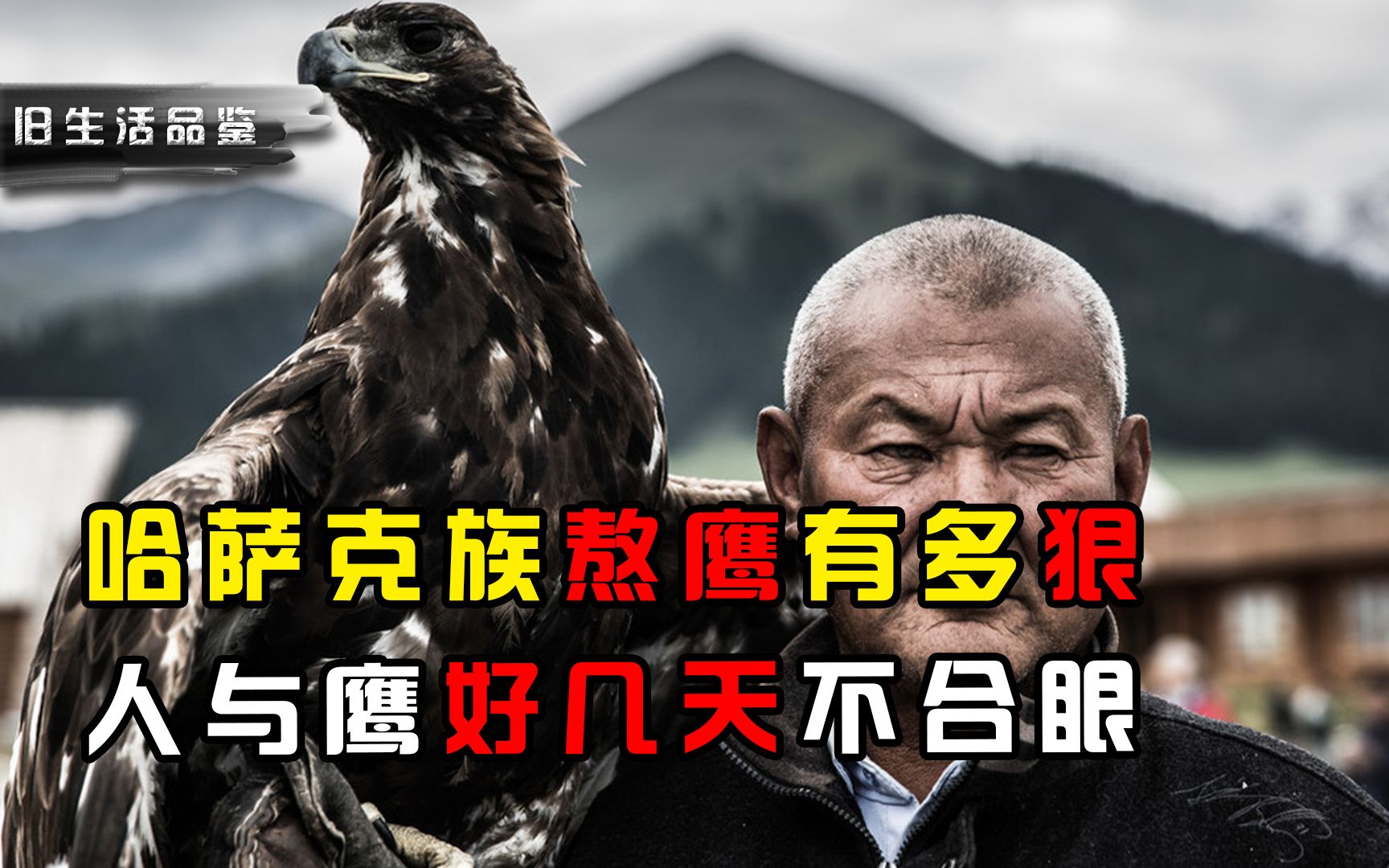 熬鹰有多残忍?一人一鹰几天不合眼才能成功,还有人熬到猝死哔哩哔哩bilibili