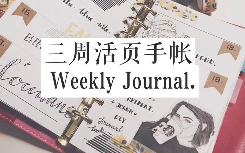 【凉凉小姐】三周活页手帐weekly journal来啦~!自制硫酸纸贴纸和茶染杯盘装饰纸的使用  journal with me哔哩哔哩bilibili