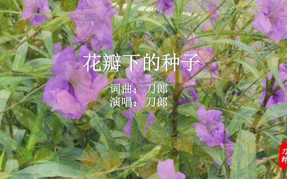 [图]刀郎经典歌曲《花瓣下的种子》自制MV