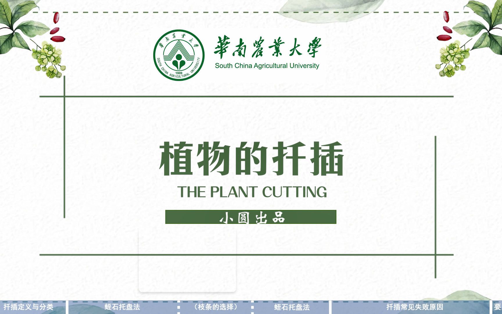 【图解:植物扦插】园林植物栽培实践——扦插教学哔哩哔哩bilibili