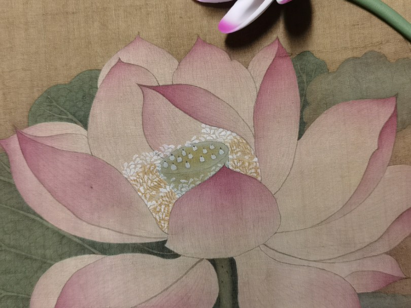 【工笔小画】 临宋画出水芙蓉 记录第一次画工笔,感觉非常棒