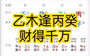 下载视频: 乙木逢丙癸，财可得千万