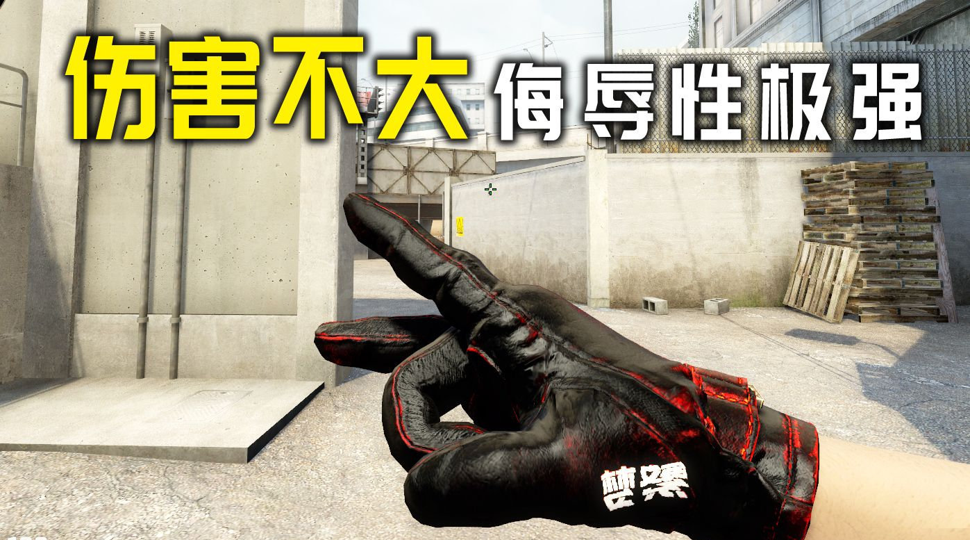 csgo#伤害性不大,但侮辱性极强[doge] bilibili:-繁梦dl(bv19t4y1n7