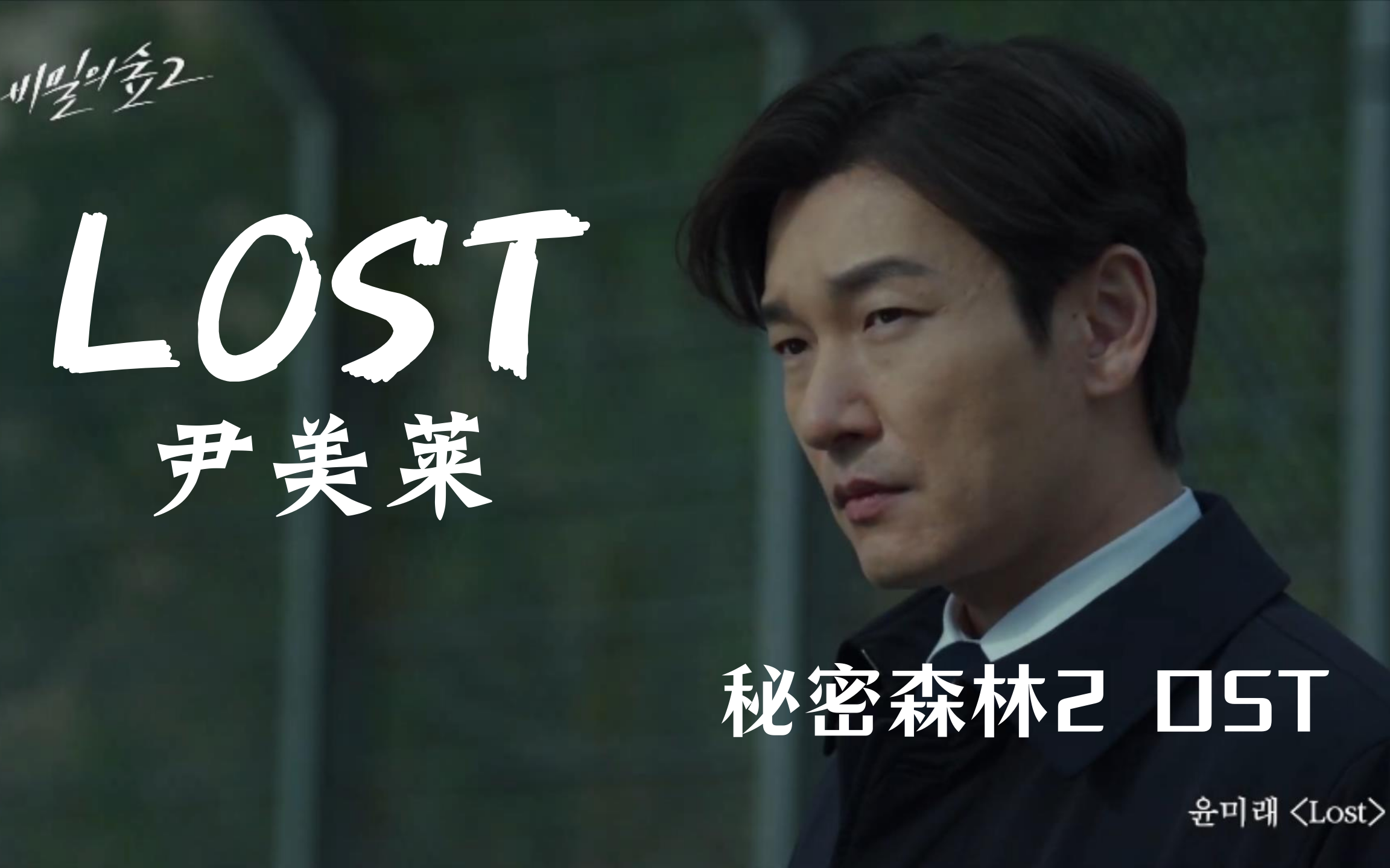 [图]【中字】尹美莱 - Lost（秘密森林2 OST）