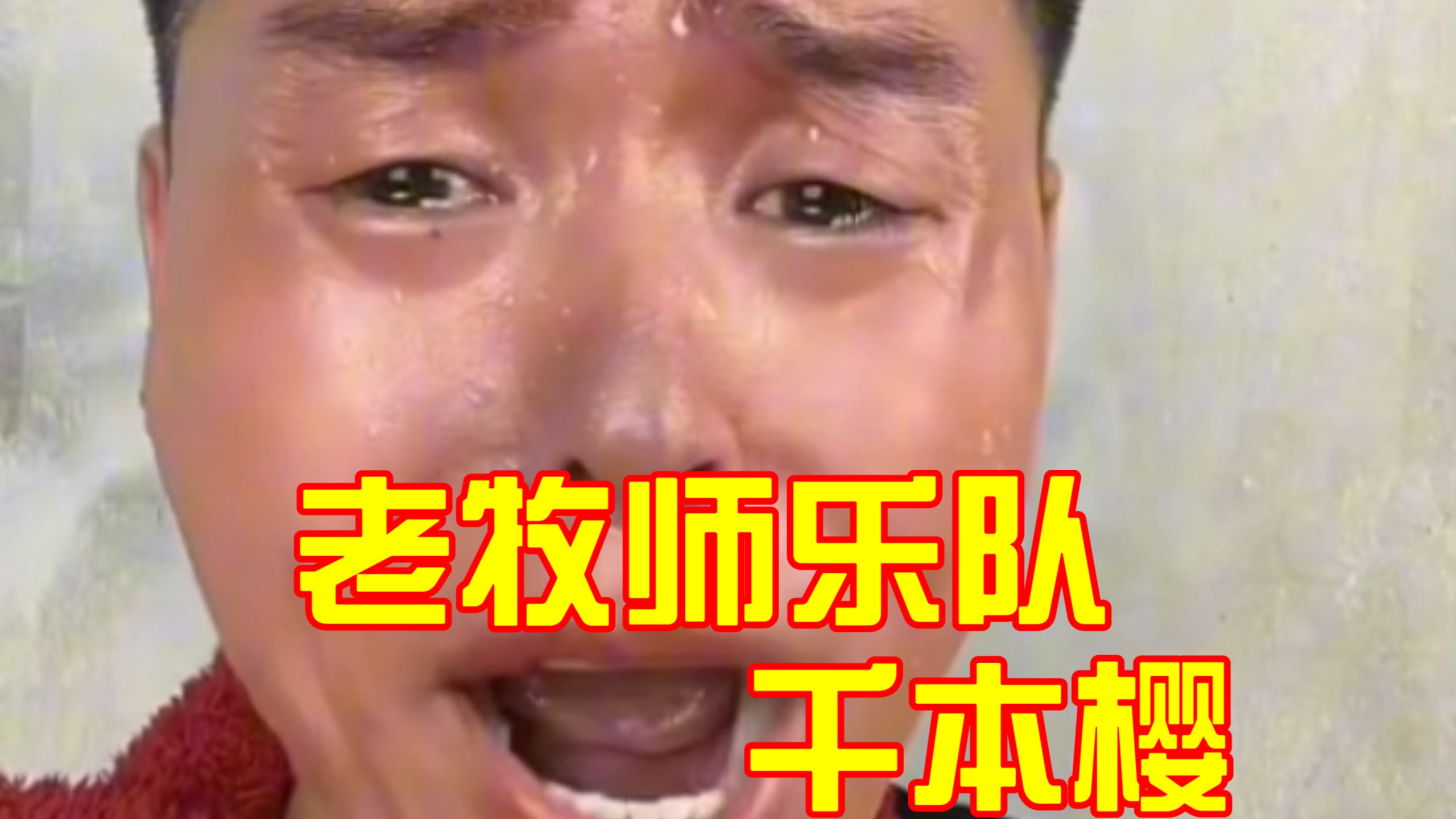 老牧师乐队《千本樱》（超长版）