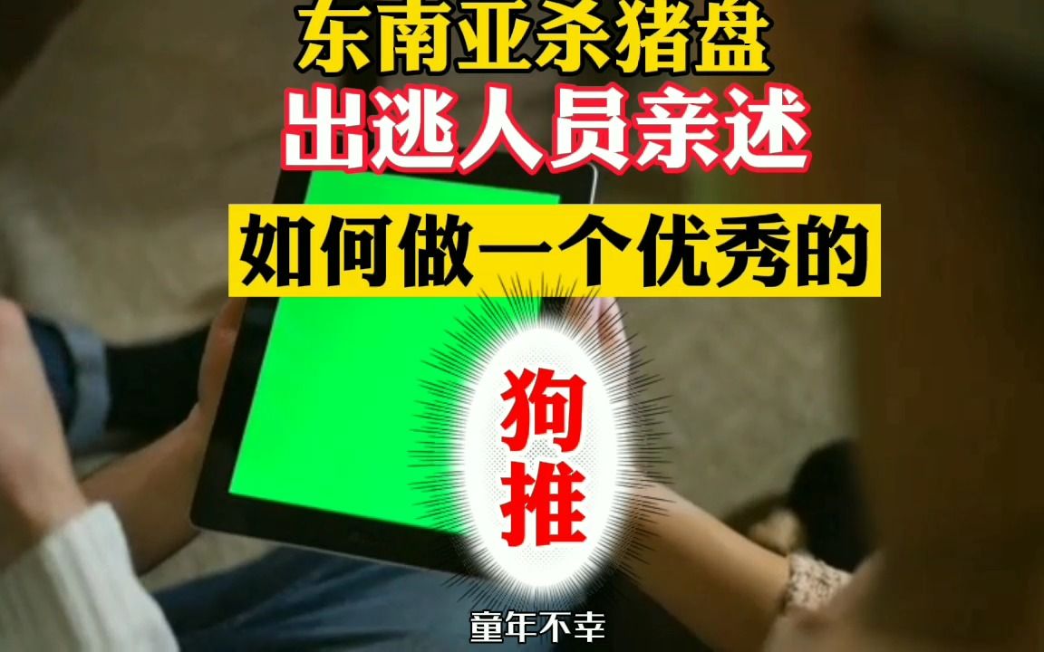 东南亚杀猪盘出逃人员亲述如何做一名优秀的狗推哔哩哔哩bilibili