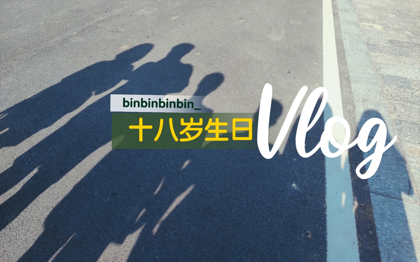 【binbinvlog001】我成年啦!哔哩哔哩bilibili