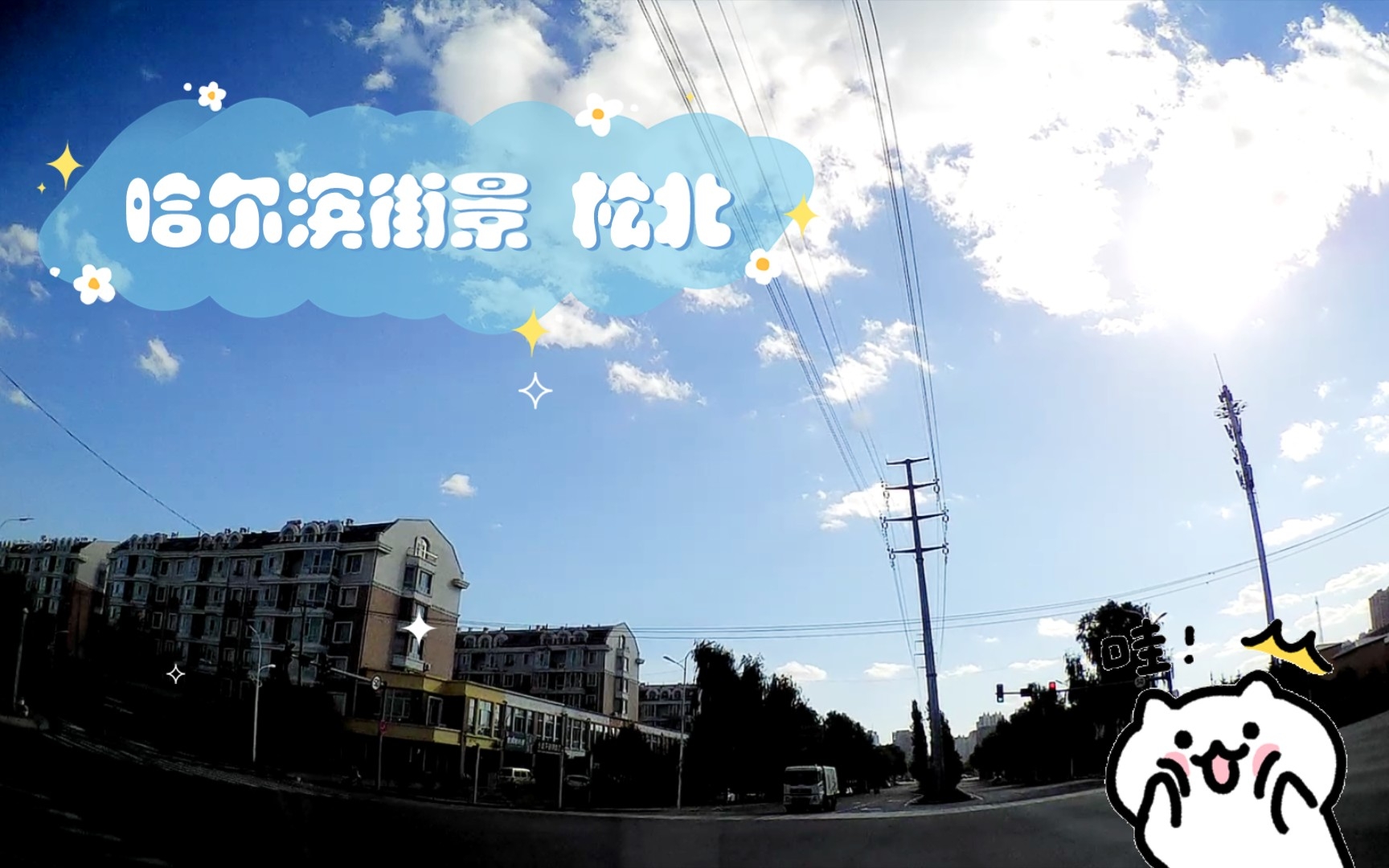 哈尔滨街景 松北哔哩哔哩bilibili