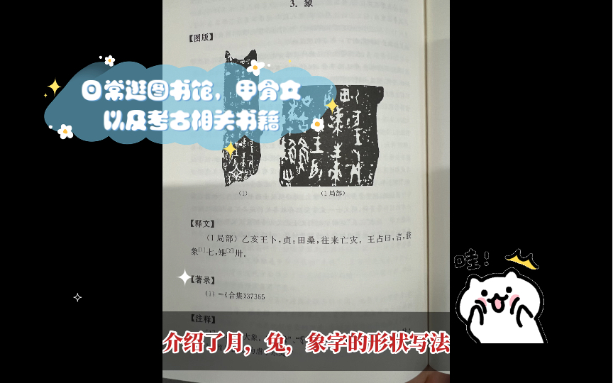 [图]【日常逛图书馆】推荐一本甲骨文读本，另外延伸几本书籍，国家宝藏，考古一百年重现中国，荒野上的大师，余秋雨的中国文脉，中国文化课讲“疑古学派”