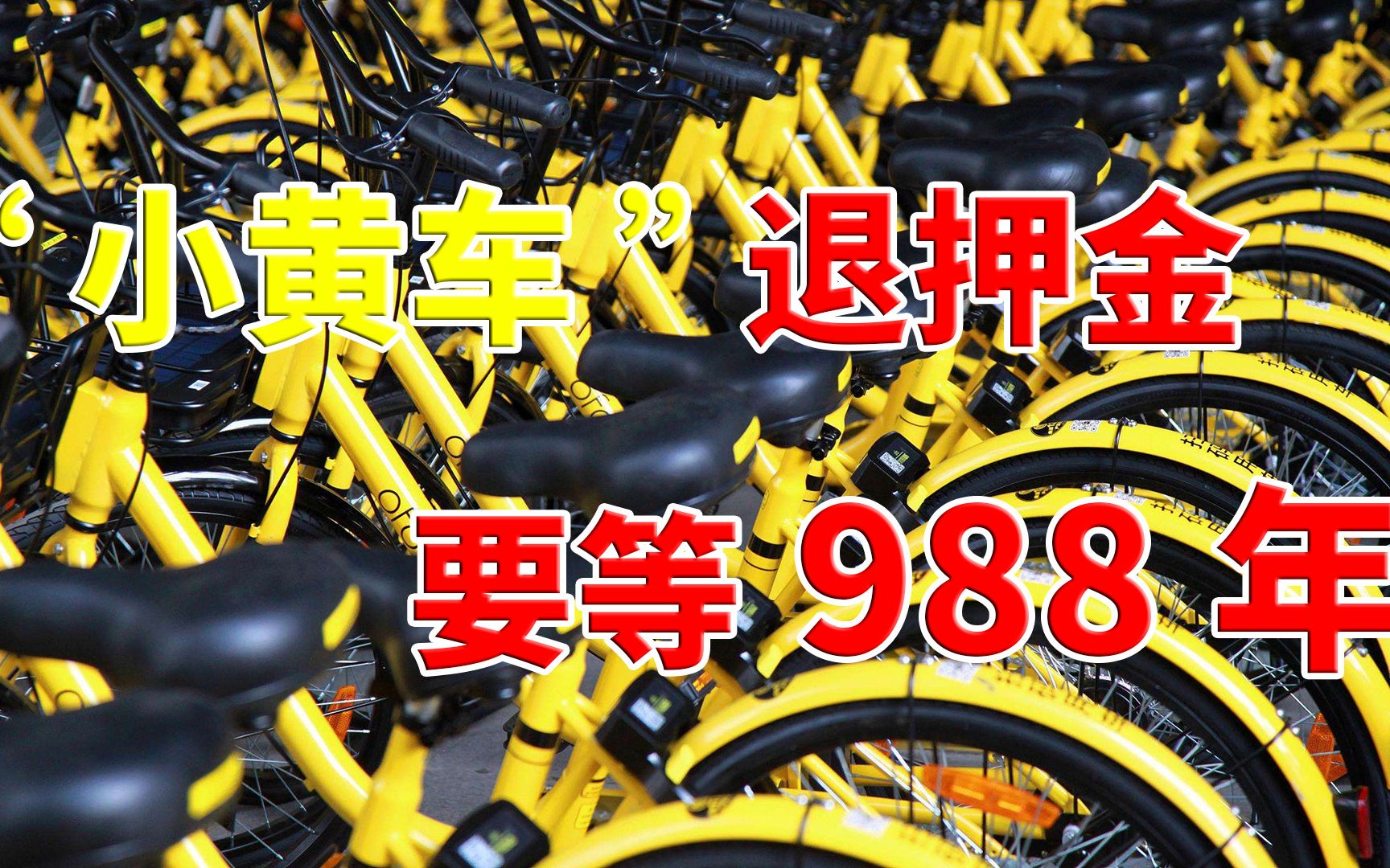 白素贞千年等一回为报恩 “小黄车”退押金要等988年哔哩哔哩bilibili