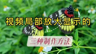 Download Video: 剪映视频局部显示放大的3种制作方法，放大镜效果#特效技巧#圆形蒙版技巧 #贴纸技巧 #剪映教程