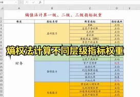 【零基础数据分析教程】一级指标、二级指标没有数据，如何利用三级指标数据计算一级、二级指标权重？熵权法excel计算原理的解释，如何构建评价体系？