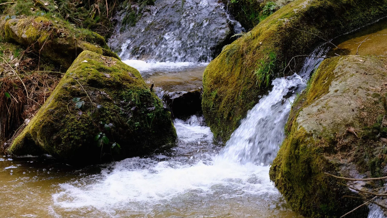 视频素材 小溪流水