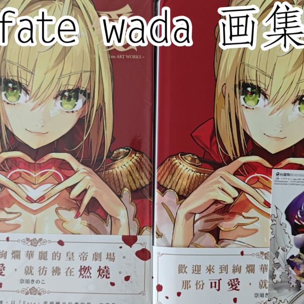 愛·ワダナルコFate ART WORKS台版首刷画集，入价83_哔哩哔哩_bilibili