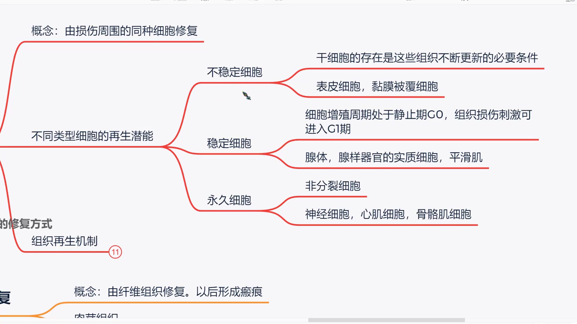 《病理学》思维导图/框架/重点知识点归纳总结预习/复习/期末突击考试不挂科【分分钟钟搞定病理学】哔哩哔哩bilibili