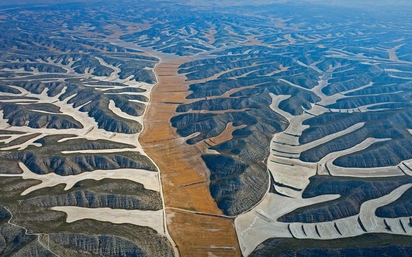 关大洲 象王行 纯伴奏 特别版 去掉所有乐器演奏声 背景音乐伴奏